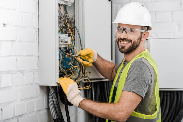 Best Local Electrician Companies  in Three Oaks, MI