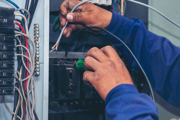 Best Affordable Electrician  in Three Oaks, MI