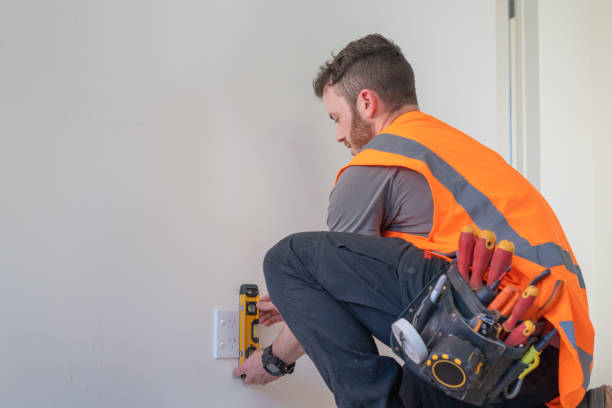Best Electrical Upgrades for Homes  in Three Oaks, MI